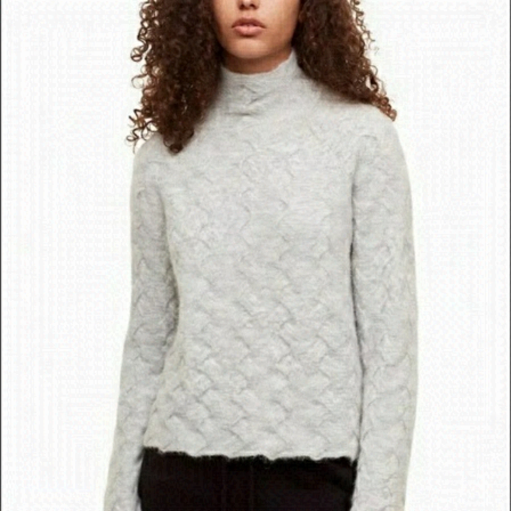 🔥wilfred Free🔥 | Aritzia basketweave Mical mock neck sweater